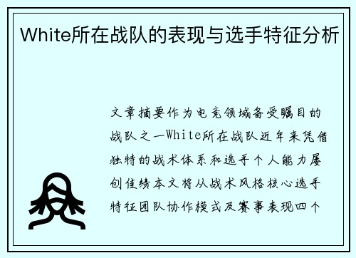 White所在战队的表现与选手特征分析