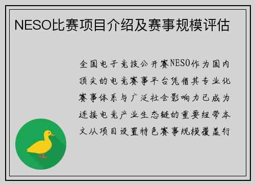 NESO比赛项目介绍及赛事规模评估